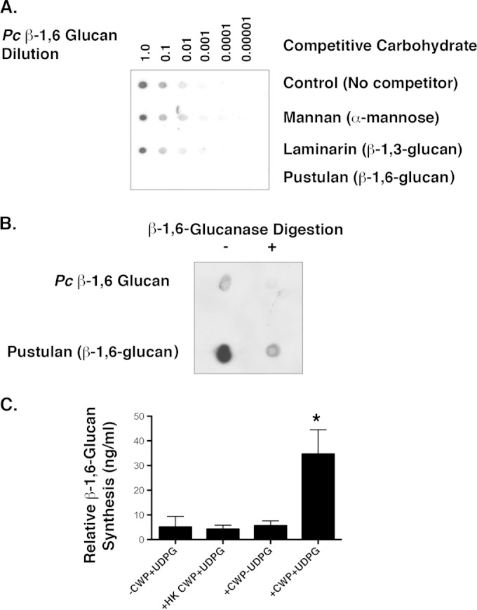 FIG 6