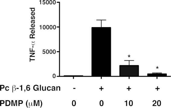 FIG 8