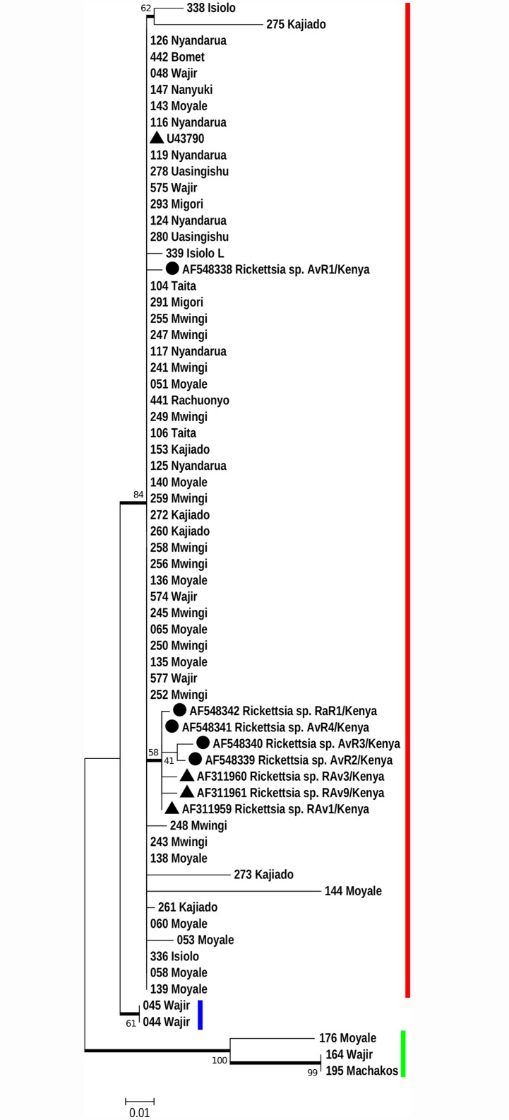 Fig 3