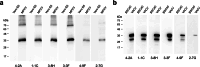 Fig. 4