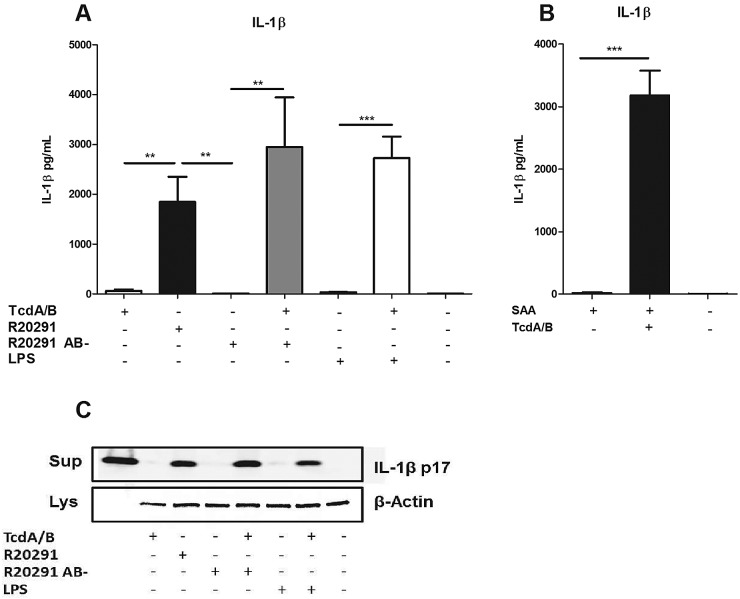 FIG 3 