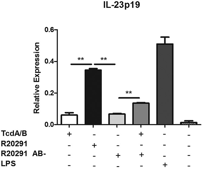 FIG 2 