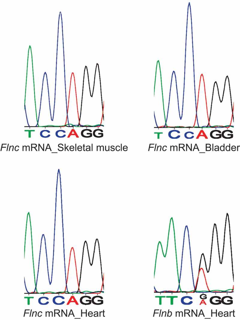 Figure 4.