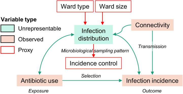 Figure 1—figure supplement 2.