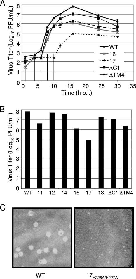 FIG. 4.