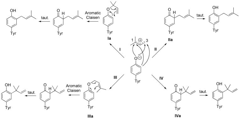 Scheme 3