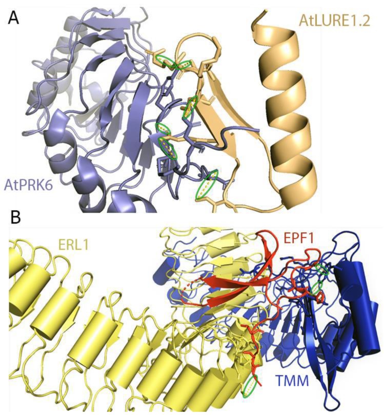 Figure 11