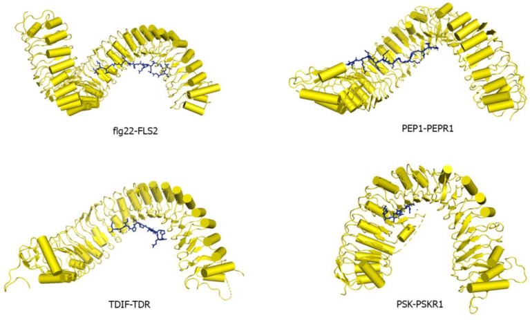 Figure 9