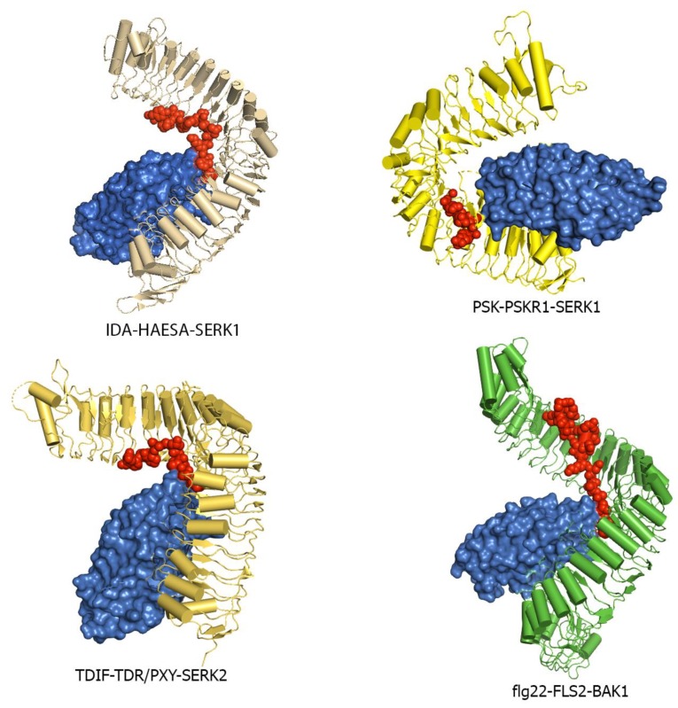 Figure 10