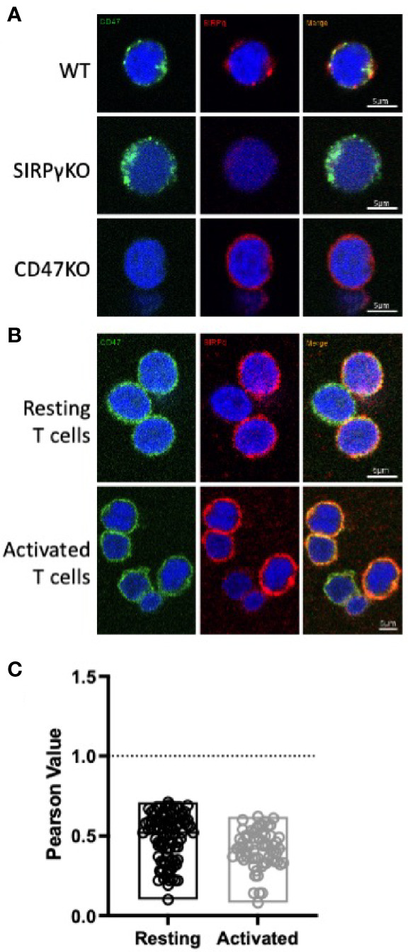 Figure 3