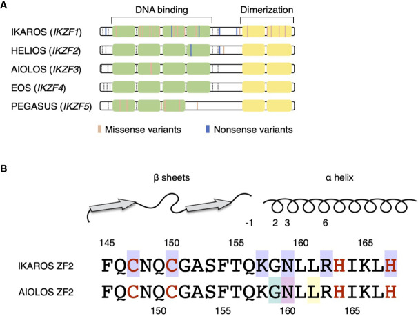 Figure 1