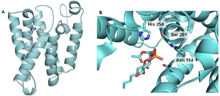 Figure 15