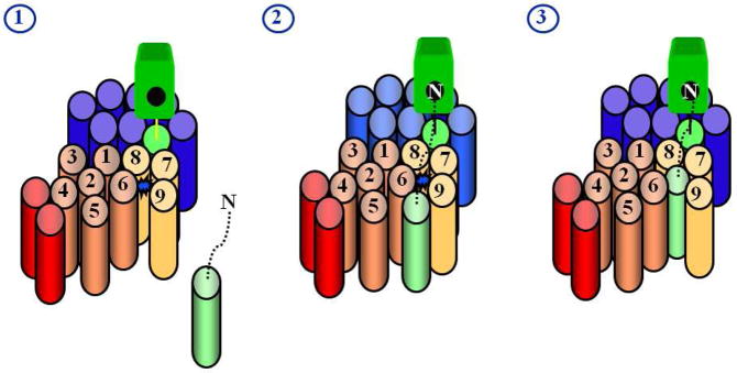 Figure 9