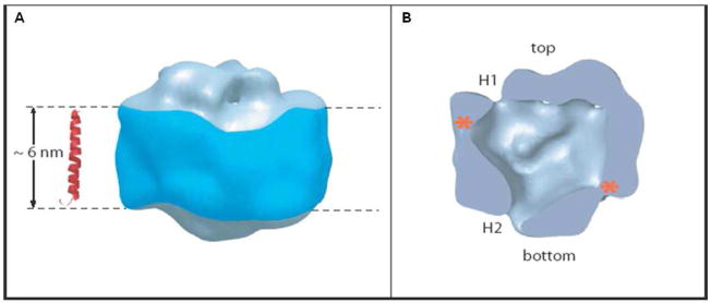 Figure 12