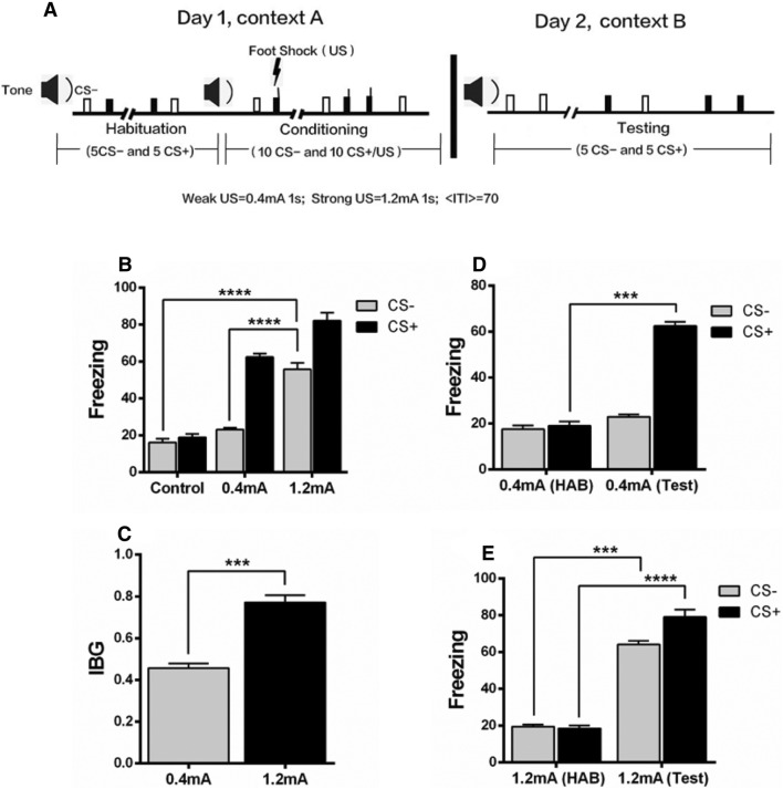 Fig. 1