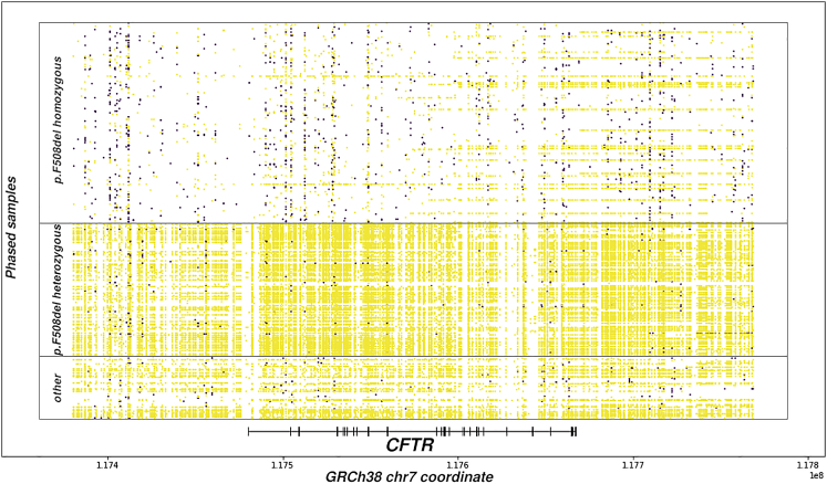 Figure 2