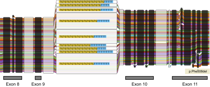 Figure 3