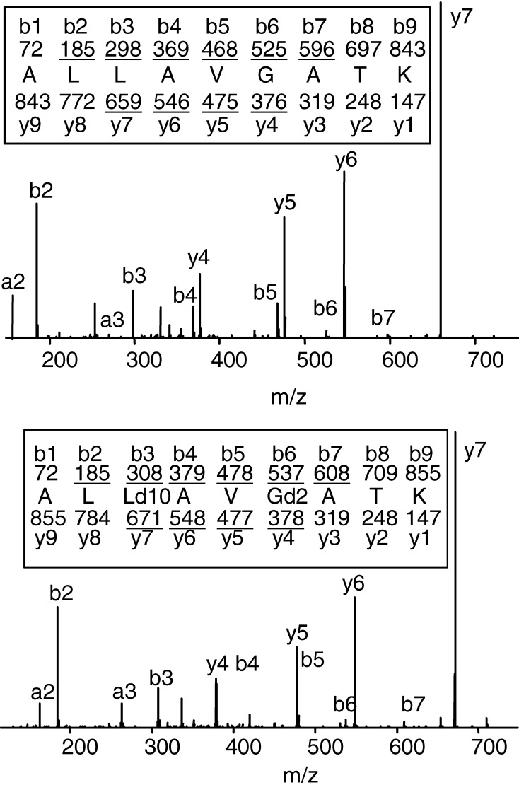 Fig. 2