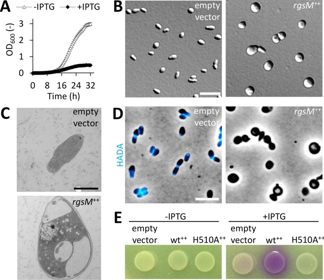 Fig 7