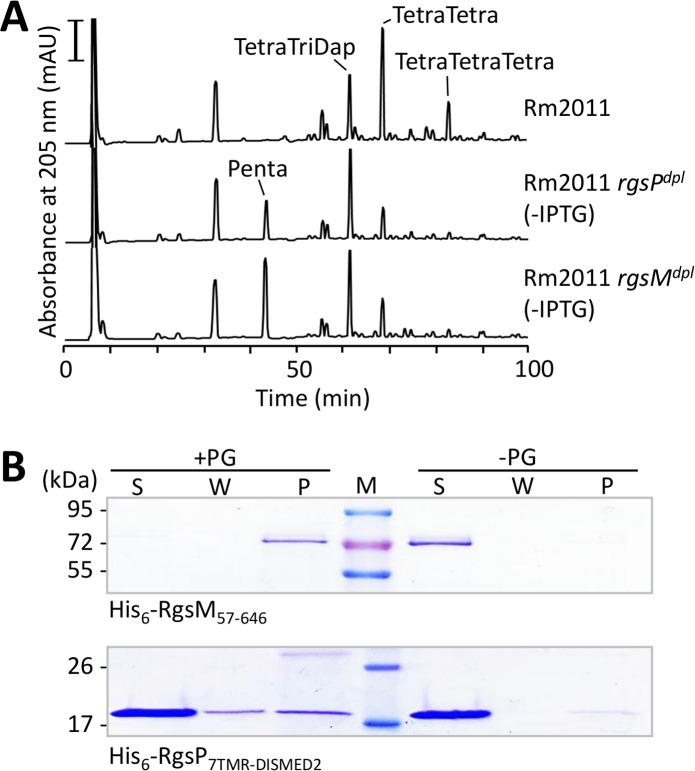 Fig 8