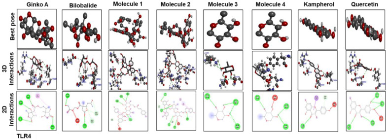 Figure 10