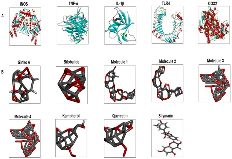 Figure 5