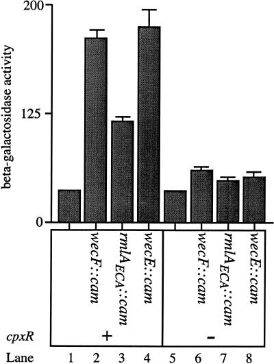 FIG. 8