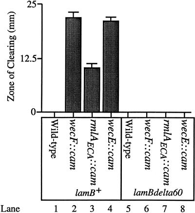 FIG. 6