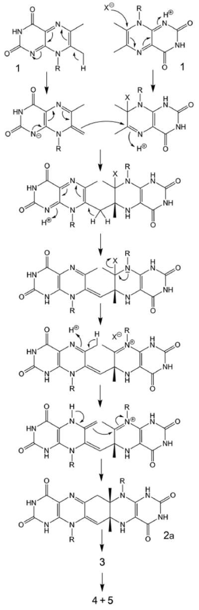 Scheme 2