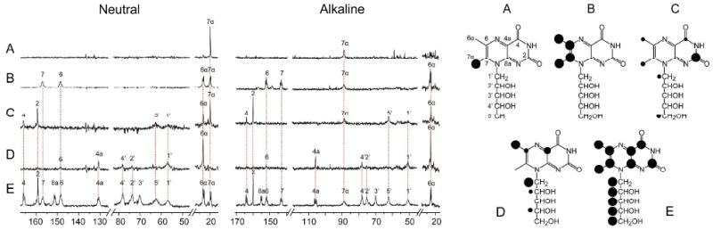 Fig. 4