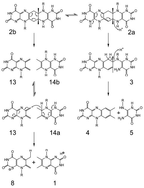 Scheme 4