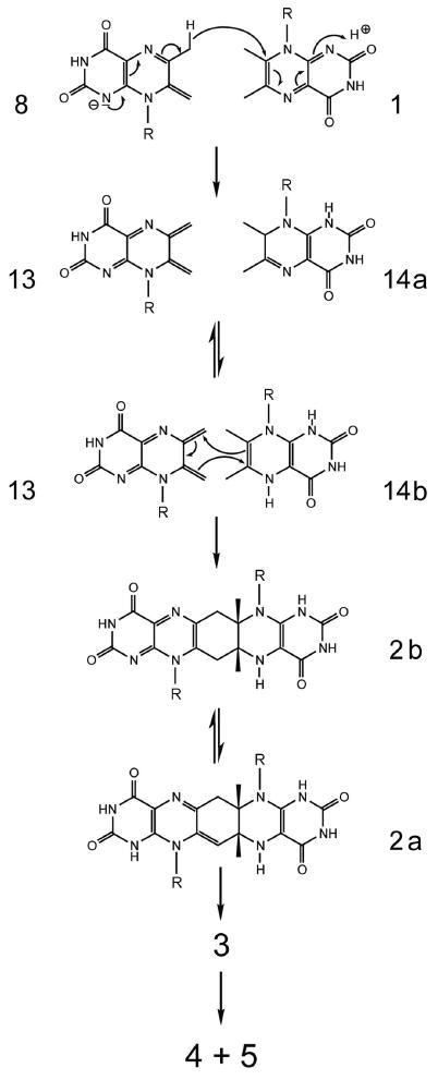 Scheme 3