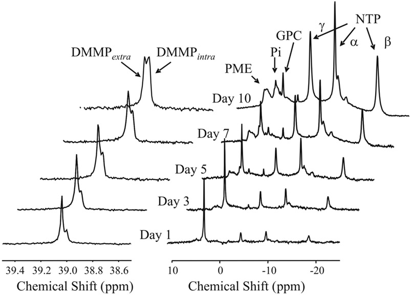 FIG. 2.