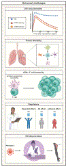 Figure 4:
