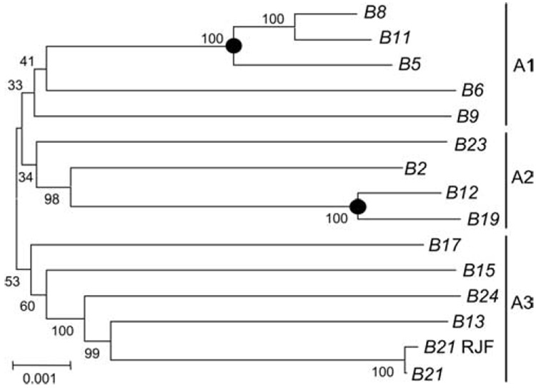 Figure 5