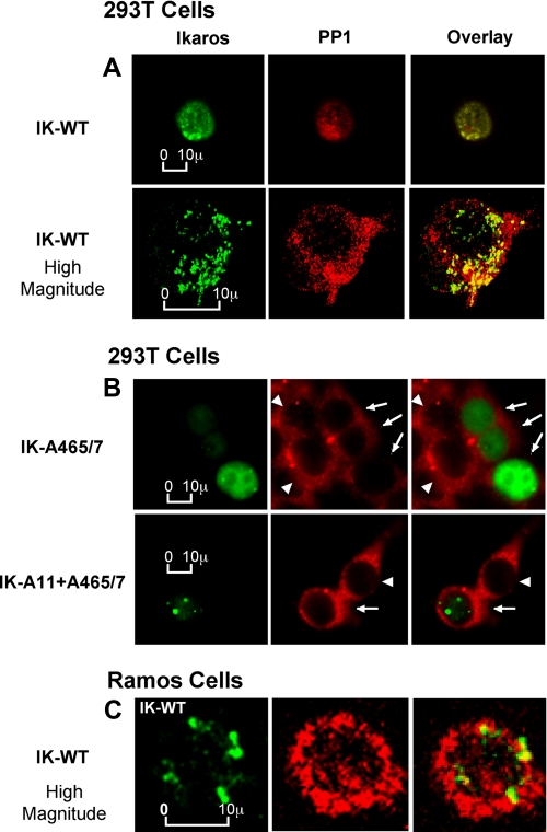 FIGURE 6.