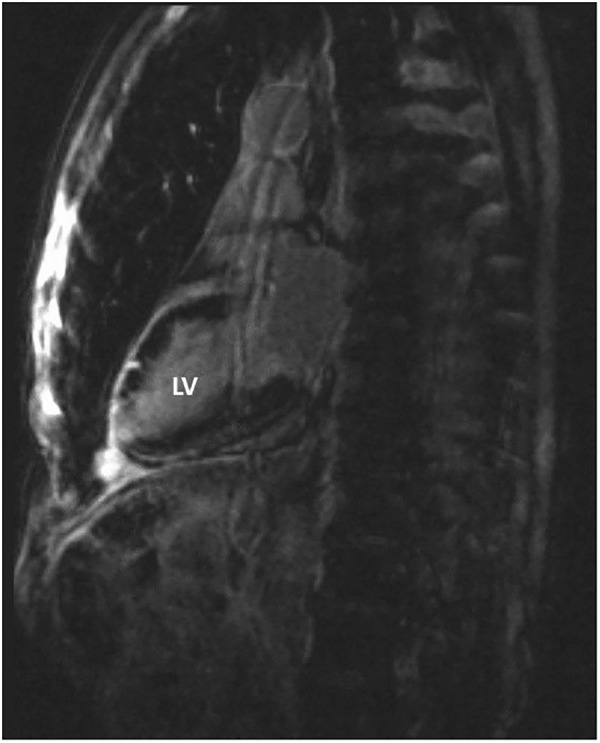 Figure 6