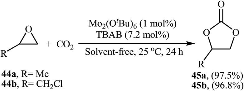 Scheme 25