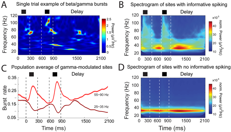 Figure 1 –