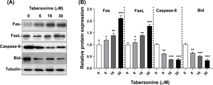 Fig. (5)