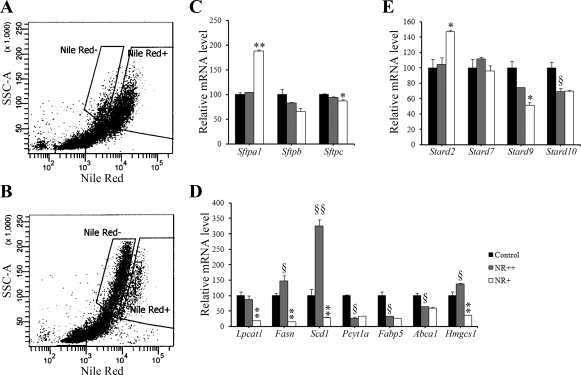 Fig. 8.