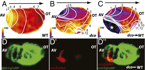 Fig. 2.