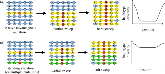 Figure 1.