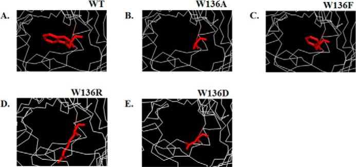 FIGURE 1.