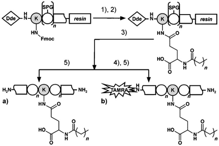 Scheme 1