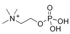 graphic file with name molecules-24-02542-i026.jpg