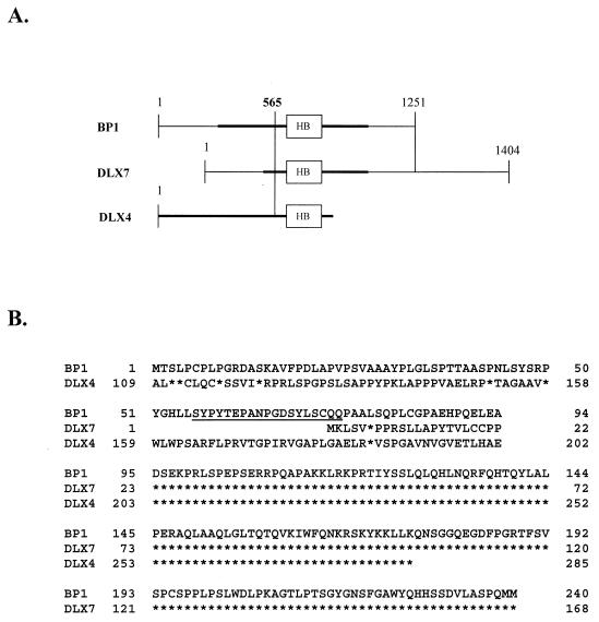 FIG. 8.