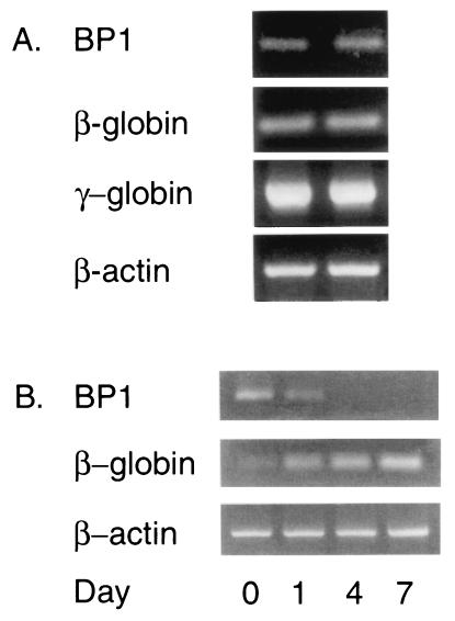 FIG. 7.