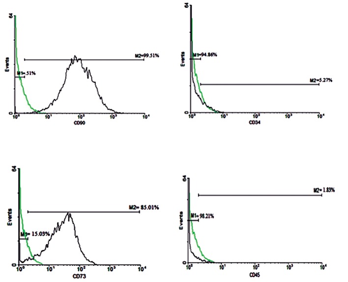 Fig.3