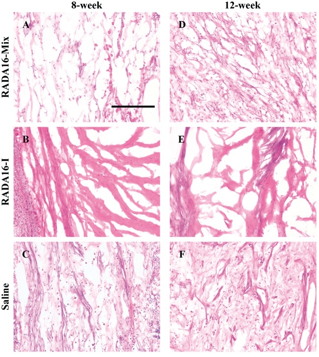 Figure 9.